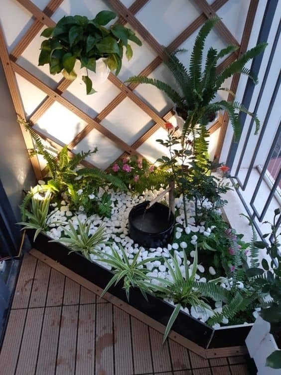 Create a Dedicated Plant Corner